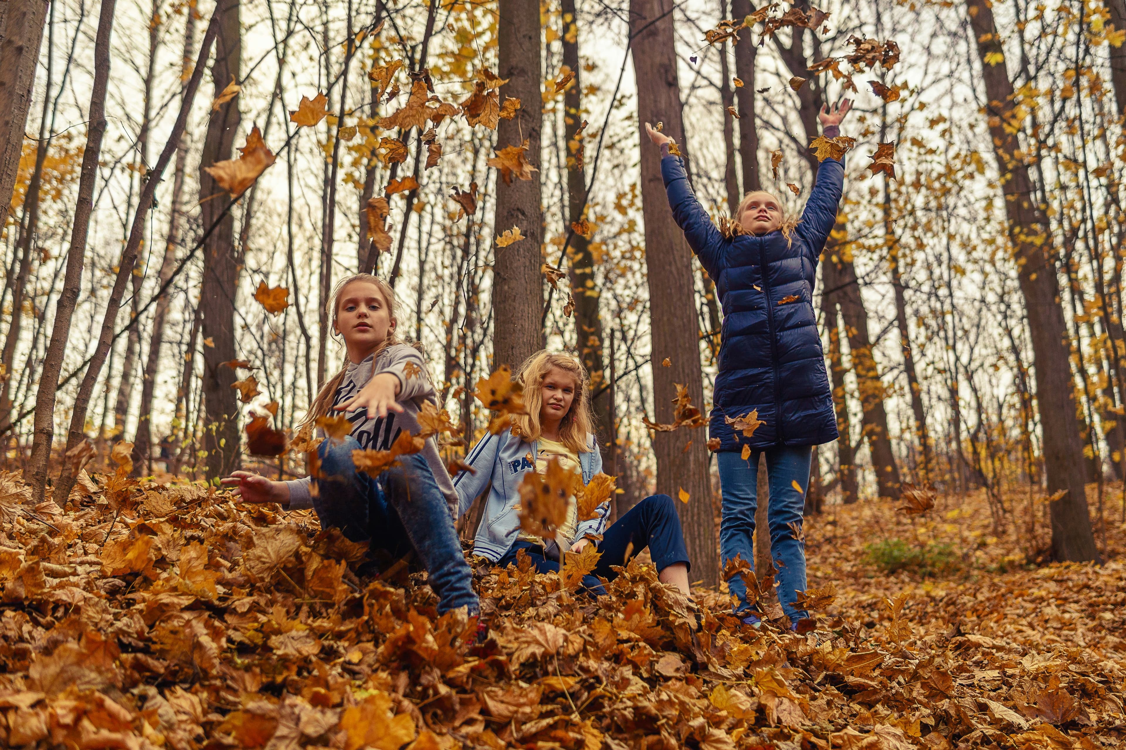 Three girls throwing autumn leaves in the woods.